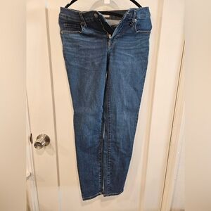 Everlane Jeans Blue
